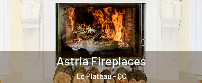  Astria Fireplaces Le Plateau - QC