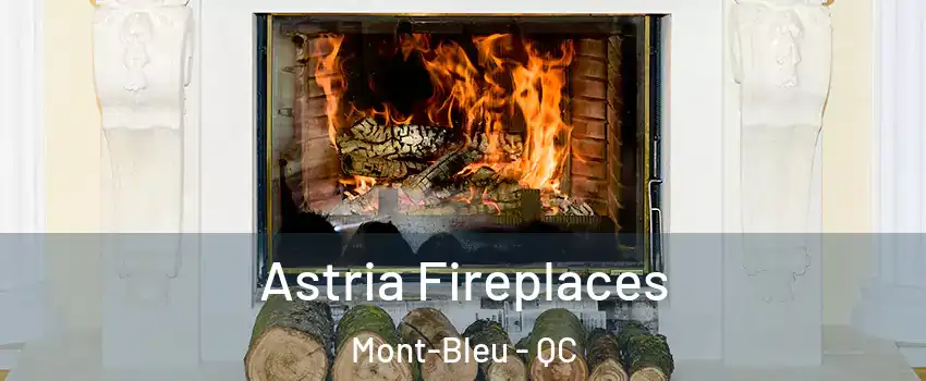  Astria Fireplaces Mont-Bleu - QC