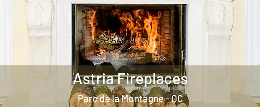  Astria Fireplaces Parc de la Montagne - QC