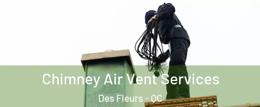  Chimney Air Vent Services Des Fleurs - QC