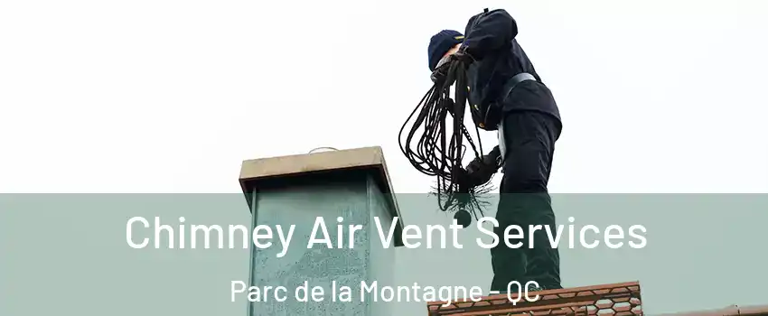  Chimney Air Vent Services Parc de la Montagne - QC