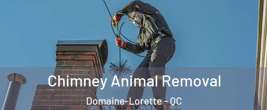 Chimney Animal Removal Domaine-Lorette - QC