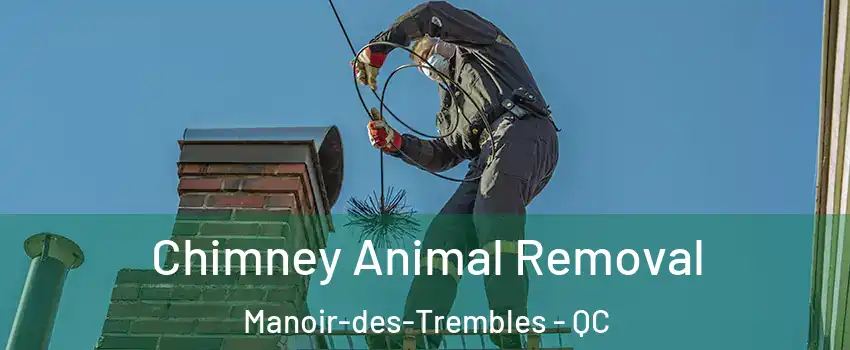 Chimney Animal Removal Manoir-des-Trembles - QC