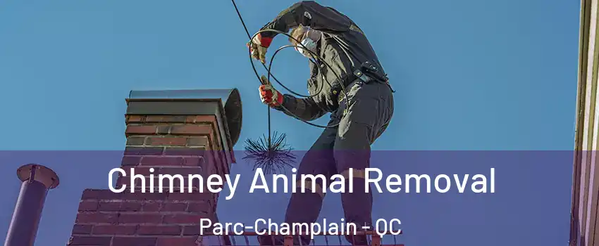 Chimney Animal Removal Parc-Champlain - QC