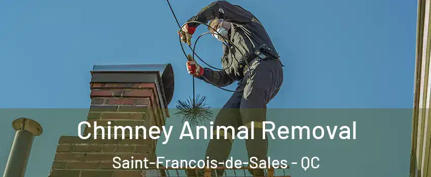 Chimney Animal Removal Saint-Francois-de-Sales - QC