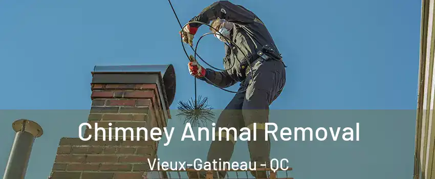 Chimney Animal Removal Vieux-Gatineau - QC