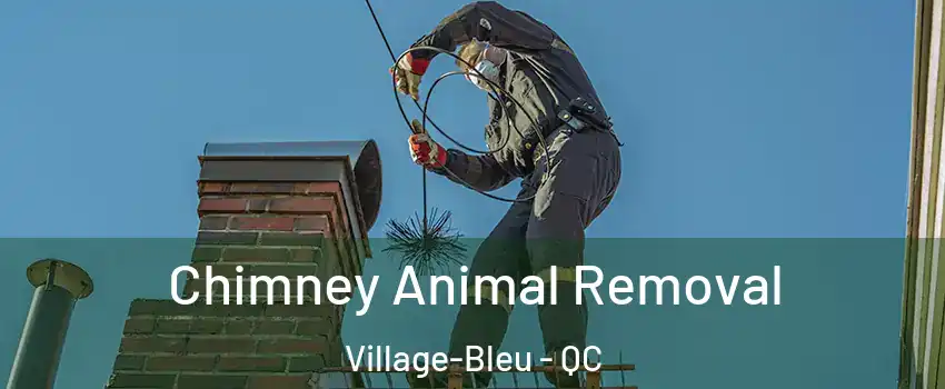 Chimney Animal Removal Village-Bleu - QC
