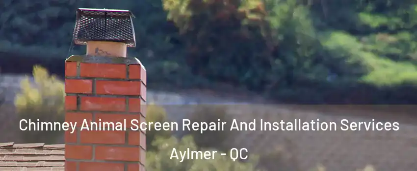  Chimney Animal Screen Repair And Installation Services Aylmer - QC
