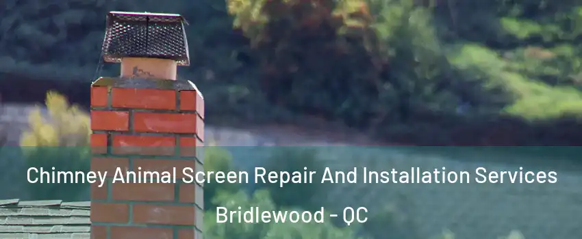  Chimney Animal Screen Repair And Installation Services Bridlewood - QC