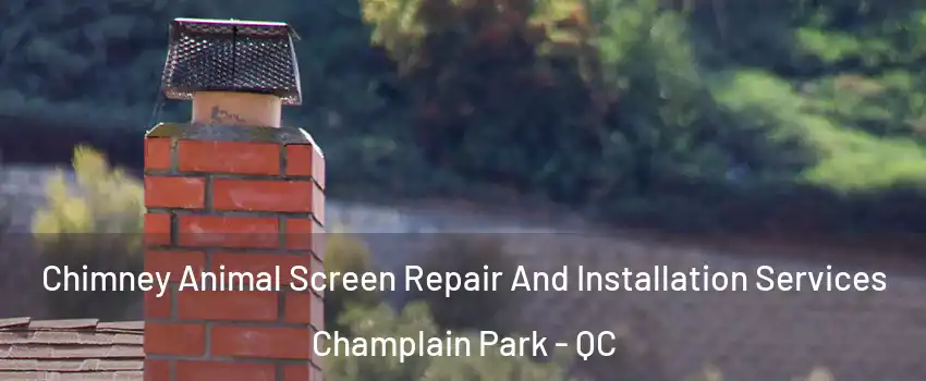 Chimney Animal Screen Repair And Installation Services Champlain Park - QC