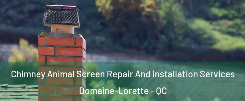  Chimney Animal Screen Repair And Installation Services Domaine-Lorette - QC