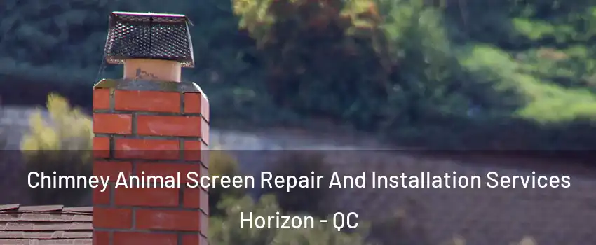  Chimney Animal Screen Repair And Installation Services Horizon - QC