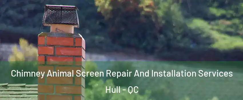  Chimney Animal Screen Repair And Installation Services Hull - QC