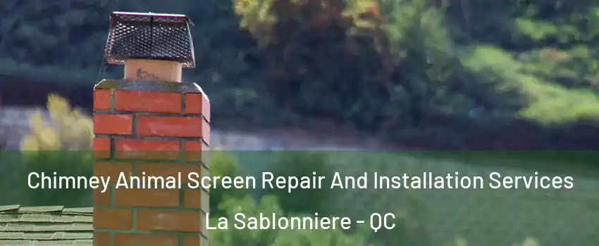 Chimney Animal Screen Repair And Installation Services La Sablonniere - QC