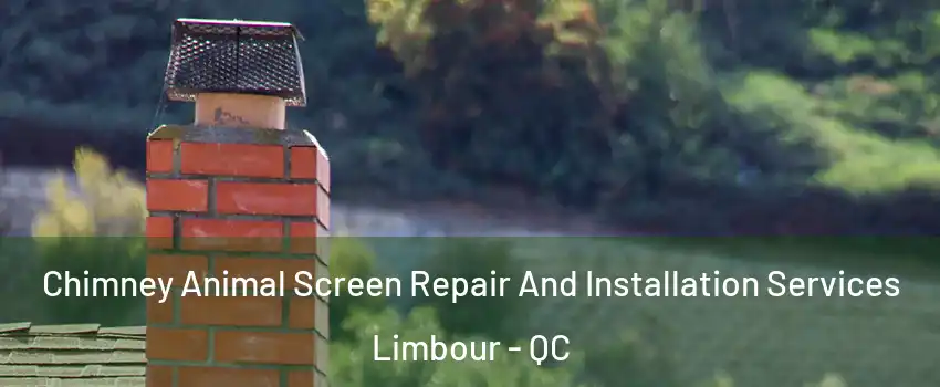  Chimney Animal Screen Repair And Installation Services Limbour - QC
