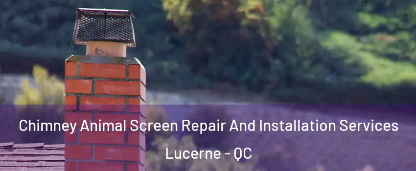  Chimney Animal Screen Repair And Installation Services Lucerne - QC