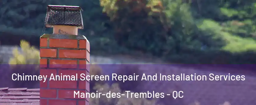  Chimney Animal Screen Repair And Installation Services Manoir-des-Trembles - QC
