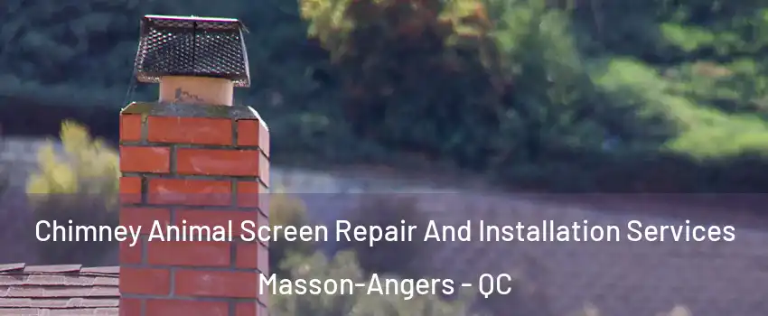  Chimney Animal Screen Repair And Installation Services Masson-Angers - QC