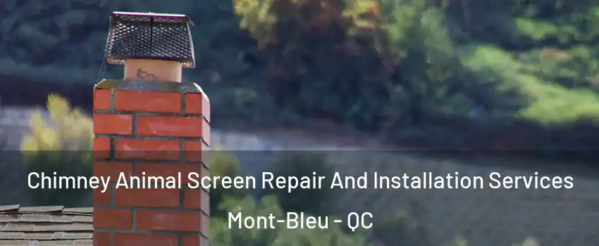  Chimney Animal Screen Repair And Installation Services Mont-Bleu - QC