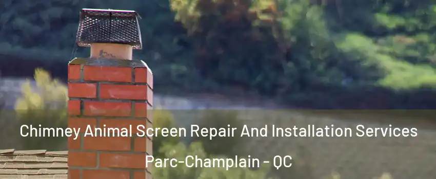  Chimney Animal Screen Repair And Installation Services Parc-Champlain - QC