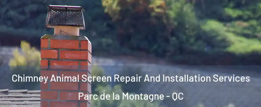  Chimney Animal Screen Repair And Installation Services Parc de la Montagne - QC