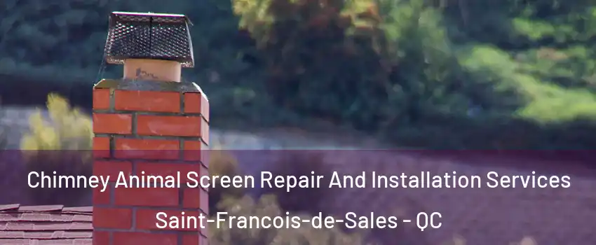  Chimney Animal Screen Repair And Installation Services Saint-Francois-de-Sales - QC