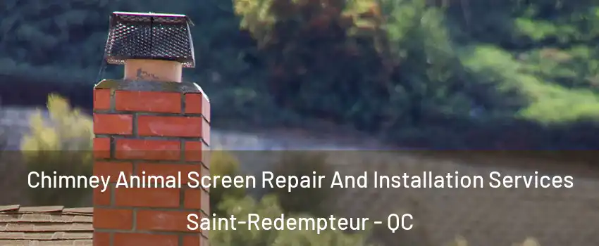  Chimney Animal Screen Repair And Installation Services Saint-Redempteur - QC