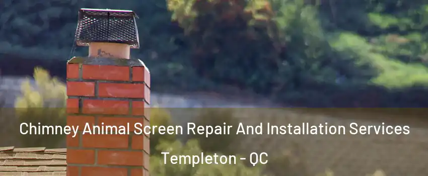  Chimney Animal Screen Repair And Installation Services Templeton - QC