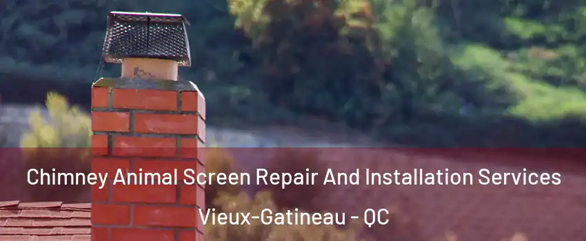  Chimney Animal Screen Repair And Installation Services Vieux-Gatineau - QC