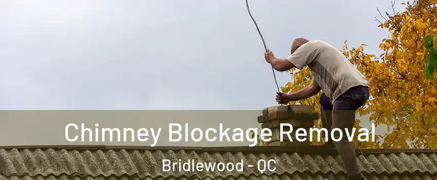  Chimney Blockage Removal Bridlewood - QC