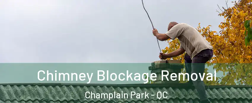  Chimney Blockage Removal Champlain Park - QC