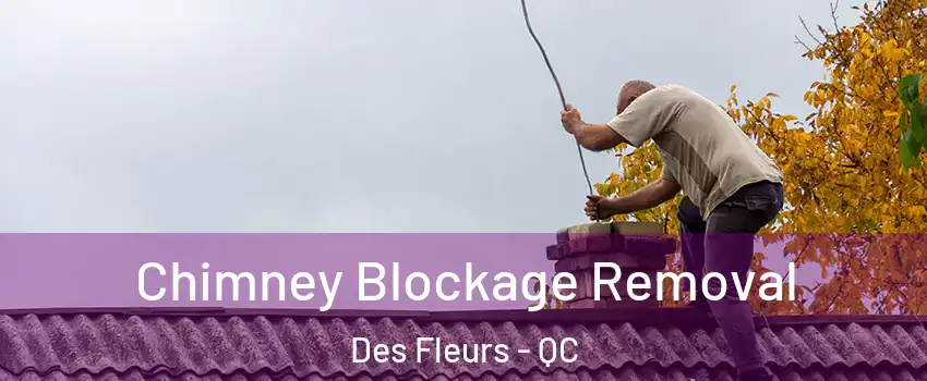  Chimney Blockage Removal Des Fleurs - QC