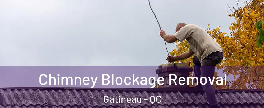  Chimney Blockage Removal Gatineau - QC