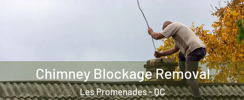  Chimney Blockage Removal Les Promenades - QC