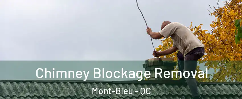  Chimney Blockage Removal Mont-Bleu - QC