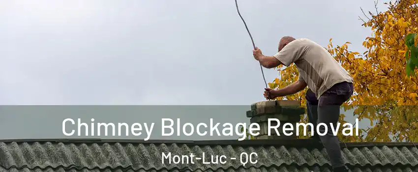  Chimney Blockage Removal Mont-Luc - QC