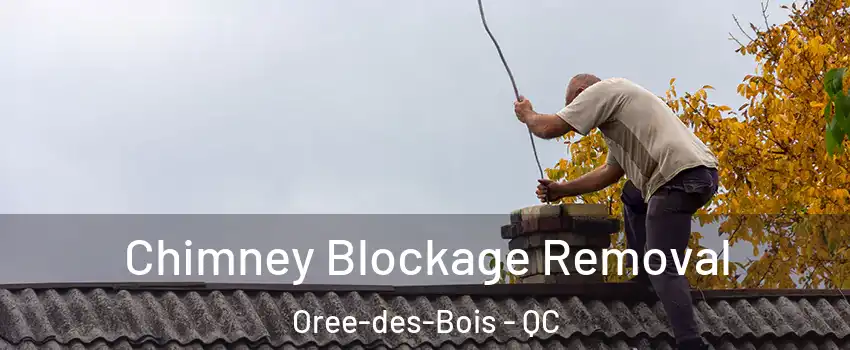  Chimney Blockage Removal Oree-des-Bois - QC