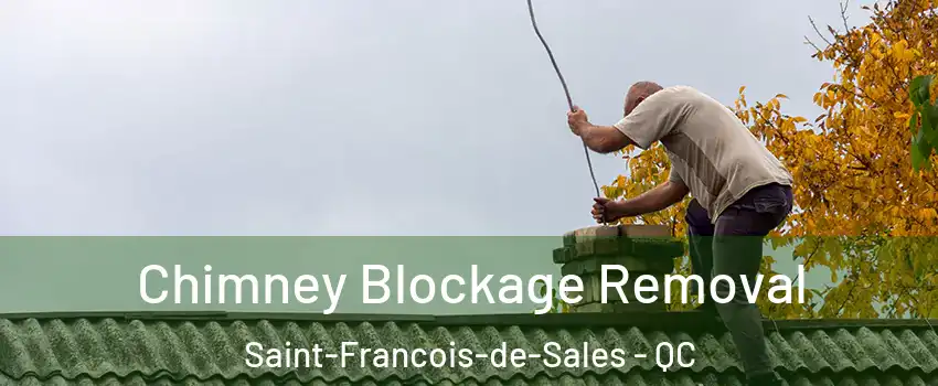  Chimney Blockage Removal Saint-Francois-de-Sales - QC