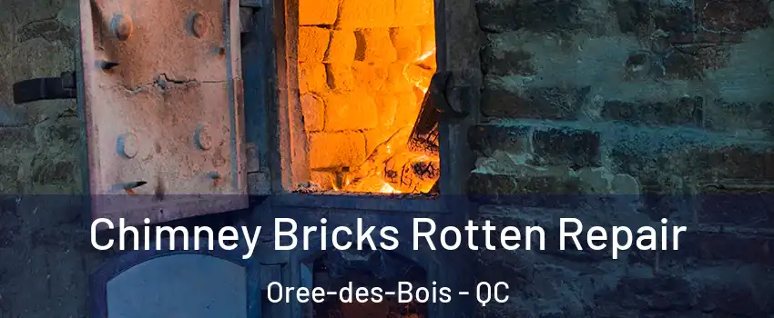  Chimney Bricks Rotten Repair Oree-des-Bois - QC
