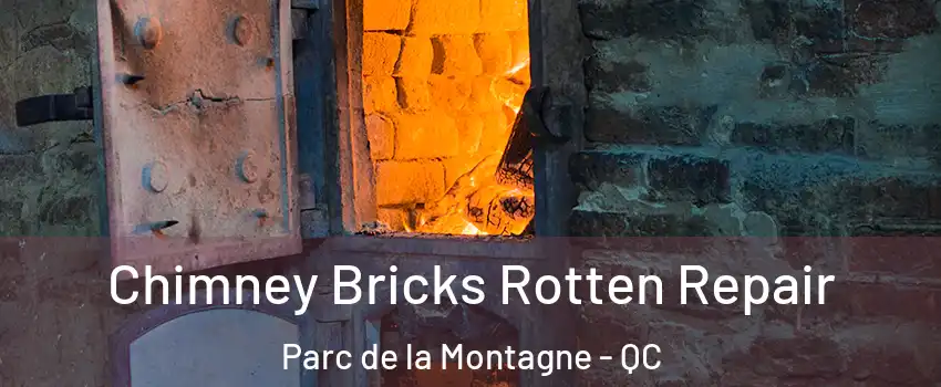  Chimney Bricks Rotten Repair Parc de la Montagne - QC