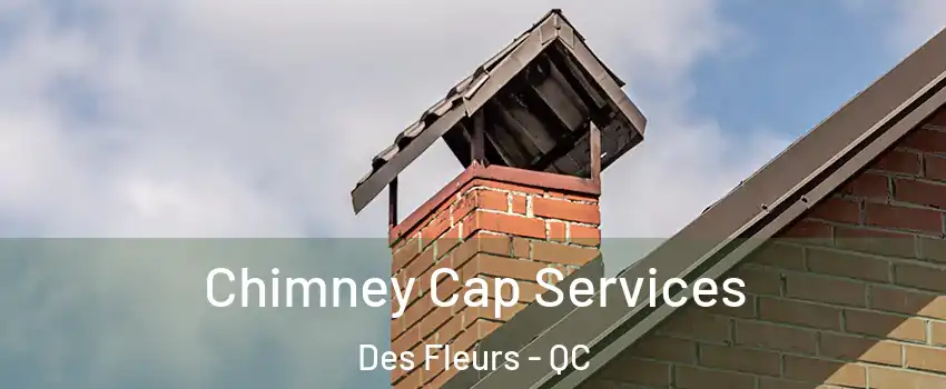  Chimney Cap Services Des Fleurs - QC