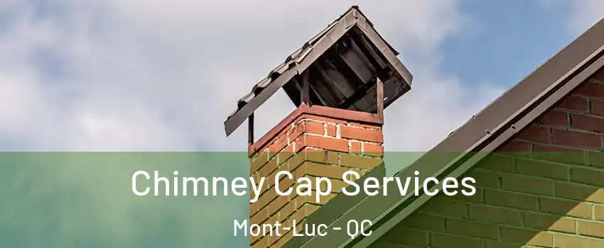  Chimney Cap Services Mont-Luc - QC