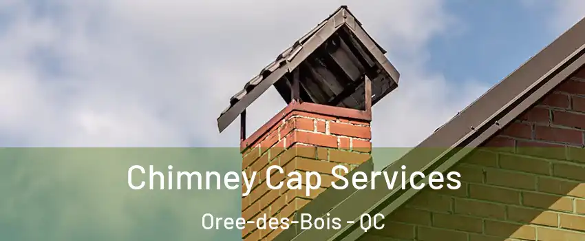  Chimney Cap Services Oree-des-Bois - QC