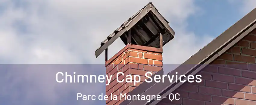  Chimney Cap Services Parc de la Montagne - QC