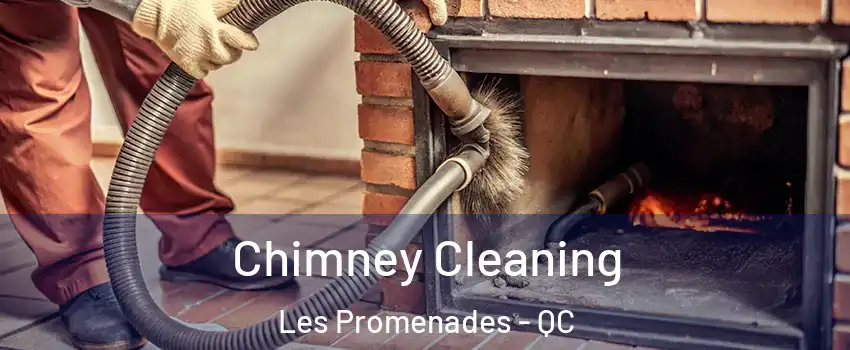  Chimney Cleaning Les Promenades - QC
