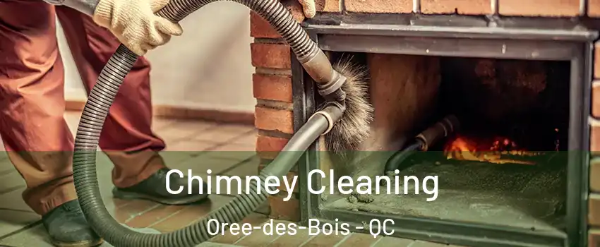  Chimney Cleaning Oree-des-Bois - QC