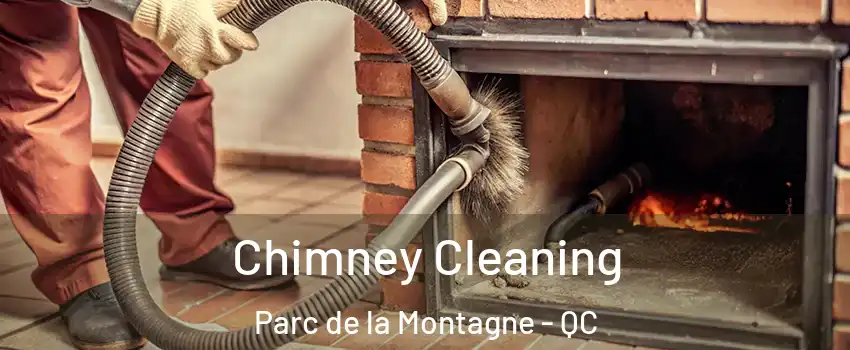  Chimney Cleaning Parc de la Montagne - QC