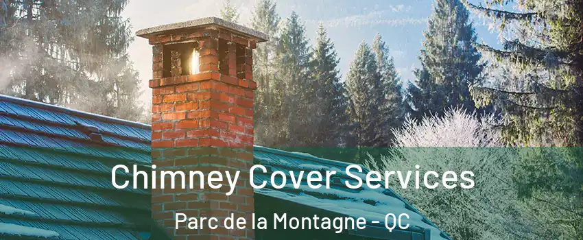  Chimney Cover Services Parc de la Montagne - QC