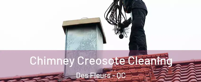  Chimney Creosote Cleaning Des Fleurs - QC