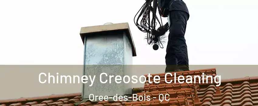  Chimney Creosote Cleaning Oree-des-Bois - QC
